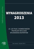 Opakowanie Wynagrodzenia 2013