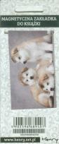 Opakowanie Zakładka magnetyczna Szczeniaki 08