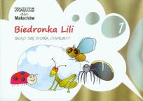 Opakowanie Biedronka Lili Komiks dla Maluchów
