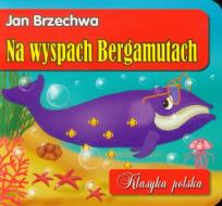 Okładka książki Klasyka polska - Na wyspach Bergamutach