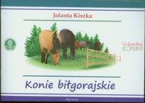 Okładka książki Konie Biłgorajskie