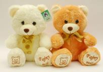 Opakowanie Miś pluszowy Fajny miś