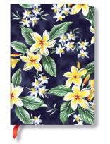 Okładka książki Notatnik Akahai w linię Midi