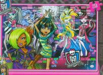 Opakowanie Puzzle 250 Monster High