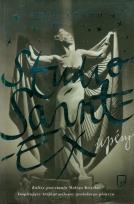 Okładka książki Studio Saint-Ex