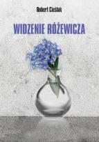 Okładka książki Widzenie Różewicza
