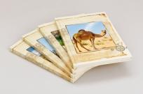 Opakowanie Brulion A5 96k. Linia mix wzorów