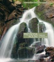 Okładka książki Cztery pory roku. Przyroda Polski