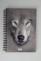 Opakowanie Kołozeszyt B5/160k z perforacją i kolorowymi registrami