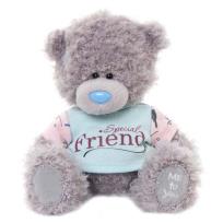 Opakowanie Miś 18 cm w koszulce Special Friend