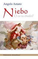 Okładka książki Niebo O co tu chodzi?