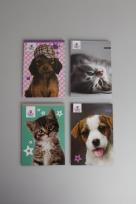 Opakowanie Notes z poddrukiem A6/ 30k. 4 wzory mix