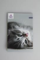 Opakowanie Notes z poddrukiem A7/ 30k. 8 wzorów mix