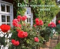 Okładka książki Perełka 056 - Dzięki wspomnieniom - jesteś