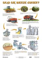 Okładka książki Plansza - Skąd się bierze miod / cukier