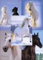 Opakowanie Zeszyt A4 Top-2000 w kratkę 96 kartek Winter Horses mix