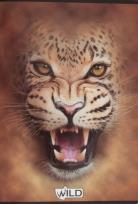 Opakowanie Zeszyt A5/60k. linia