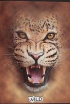 Opakowanie Zeszyt A5/80k. Kratka Wild