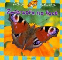 Okładka książki Album malucha - Zwierzęta na łące