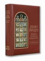 Okładka książki Biblia Tysiąclecia wyd. ilustrowane opr. skórzana