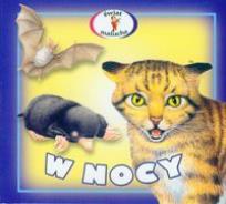 Okładka książki Harmonijka - w nocy