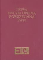Opakowanie Nowa Encyklopedia Powszechna PWN t.1
