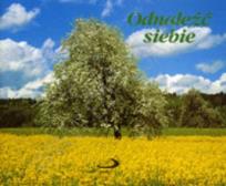 Okładka książki Perełka 034 - Odnaleźć siebie