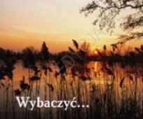 Okładka książki Perełka 087 - Wybaczyć....