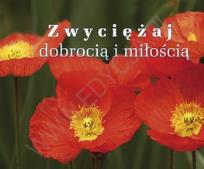 Okładka książki Perełka 193 - Zwyciężaj dobrocią i miłością.