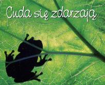 Okładka książki Perełka 207 - Cuda się zdarzają.