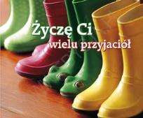 Okładka książki Perełka 213 - Życzę Ci wielu przyjaciół.