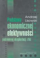 Okładka książki Podstawy ekonomicznej efektywności podziemnej eksploatacji złóż