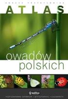 Okładka książki Atlas owadów polskich