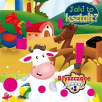 Okładka książki Jaki to kształt Błyszczące elementy