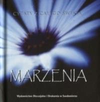 Okładka książki Kamyczki - Marzenia