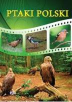 Okładka książki Ptaki Polski  Fenix