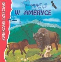 Okładka książki W Ameryce