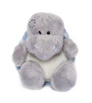 Okładka książki Miś BLUE NOSE - Żółw Shelley