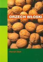 Okładka książki Orzech włoski