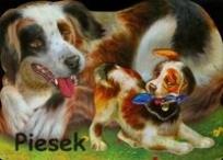 Okładka książki Piesek