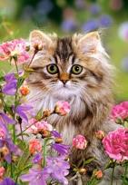 Okładka książki Puzzle 1500 Kot wśród kwiatów CASTOR