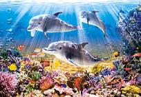 Okładka książki Puzzle 500 Delfiny CASTOR