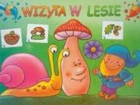 Okładka książki Wizyta w lesie ARYSTOTELES