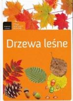 Okładka książki Drzewa leśne