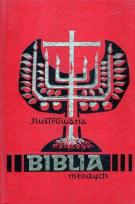Opakowanie Ilustrowana Biblia młodych