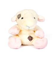 Okładka książki Miś BLUE NOSE - Wielbłąd Oasis