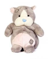 Okładka książki Miś BLUE NOSE - Chomik Peanuts