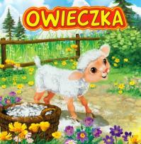 Okładka książki Owieczka JAFI
