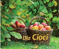 Okładka książki Perełka 243 - Dla Cioci