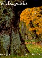 Okładka książki Wielkopolska wer.polsko-angielska BOSZ